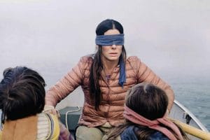 bird box