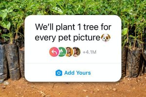 plant one tree