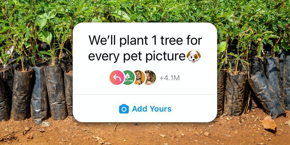 plant one tree